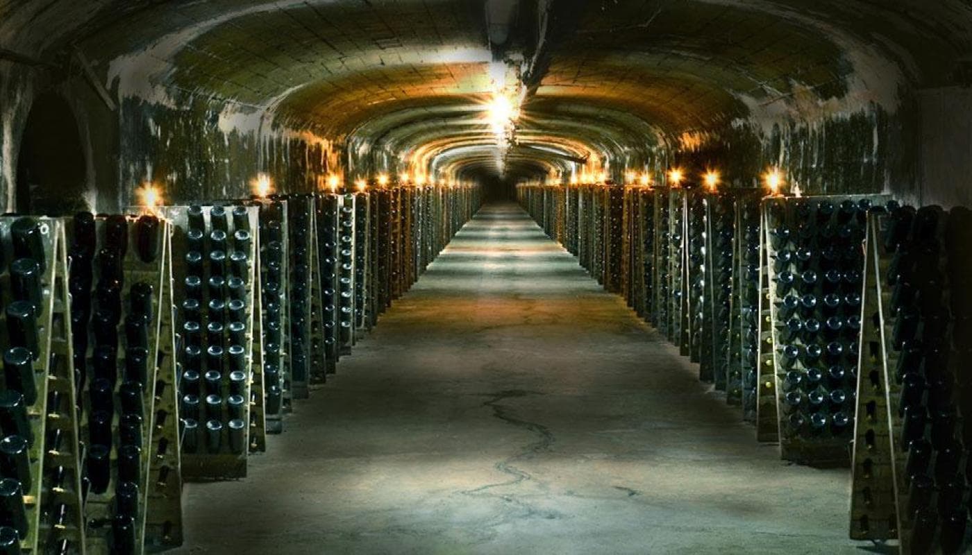 Tour Bodegas y Vinos